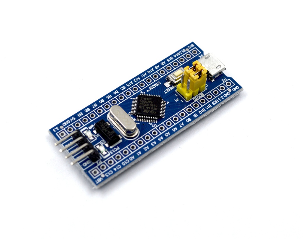 Placa de desarrollo STM32 ARM