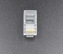 Conector RJ45 CAT6