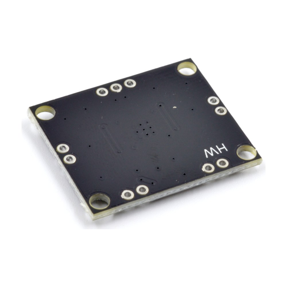 Amplificador Audio PAM8610 back